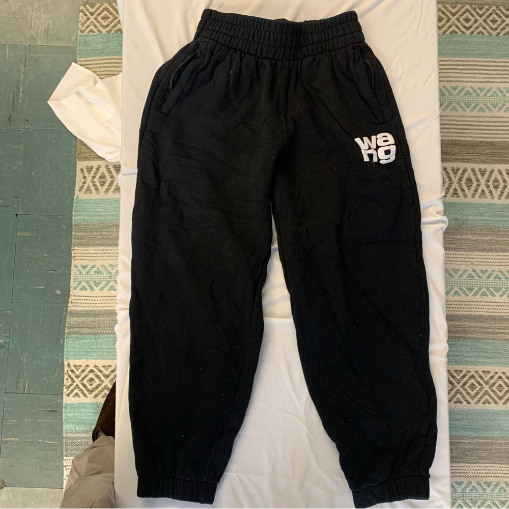 Alexander Wang Sweatpants in great condition!
